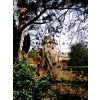 South Tower through trees 2009