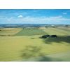 Looking north across Roundway Down. Morgan's Hill is near the clump of trees top right