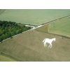 An aerial photo of the Devizes Millenium White Horse June 2010 courtesy Neil Maw