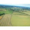 Roundway Down looking towards Heddington. The Covert is on the left and further on  are the slopes of Beacon Hill - leading down to the "Bloody Ditch".