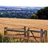 Devizes across a corn field