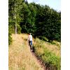 An open part of the Roundway covert walk - great views