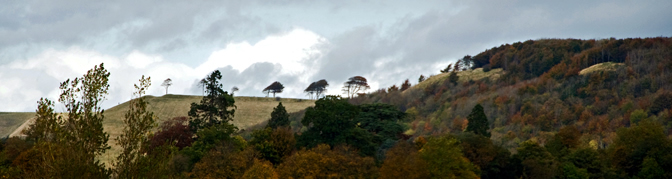 Rounway Covert and Olivers Castle from St. James Church